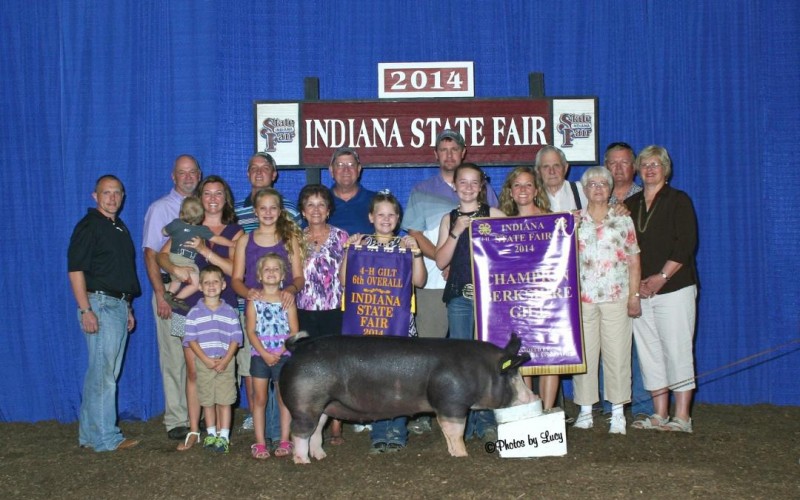 Ch. Berk & 6th Overall Gilt InSF-Littermate to Wedding Crasher