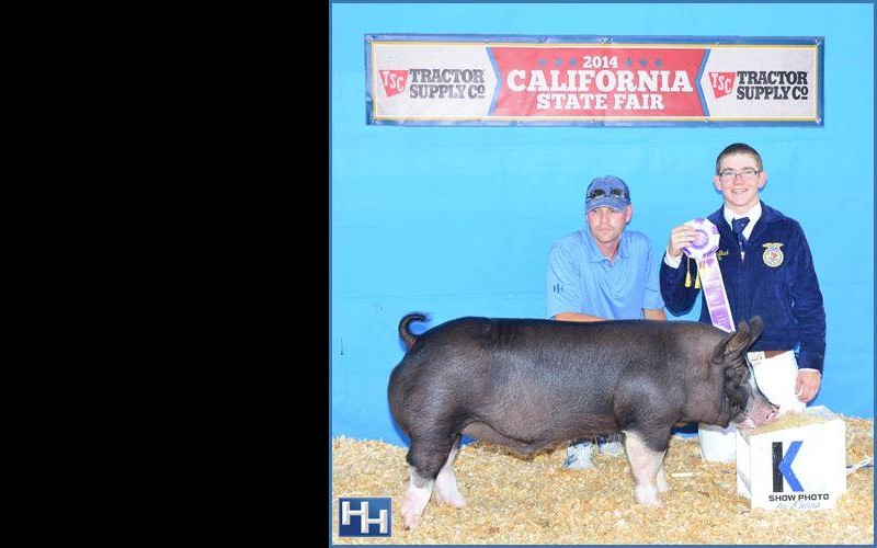 Champion AOB California State Fair - Littermate to Wedding Crasher