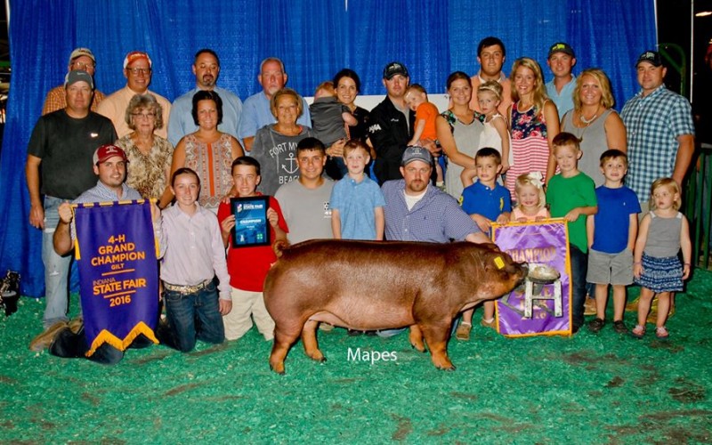 First Class\'s Littermat Grand Overall Gilt Indiana State Fair